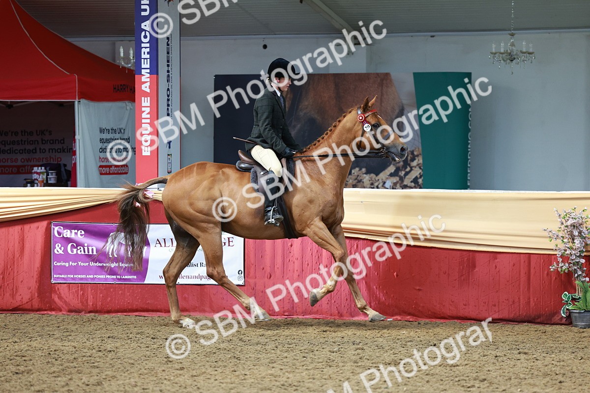 SBM_14937 - Class 108 - Ridden Retired Racehorse