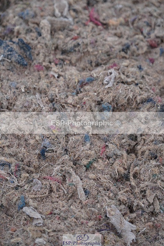 250607-140352-01263 - Cls 34 Stepping Stones