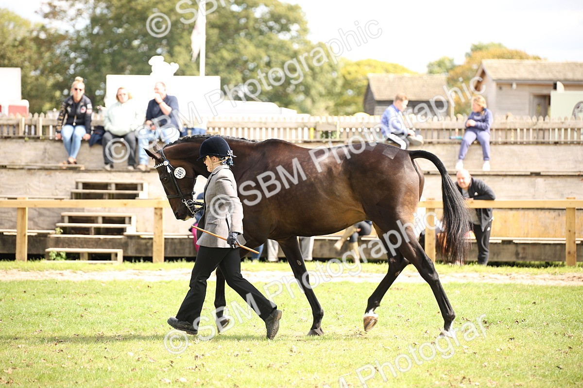 SBM_44467 - S24 - Young Veteran in hand