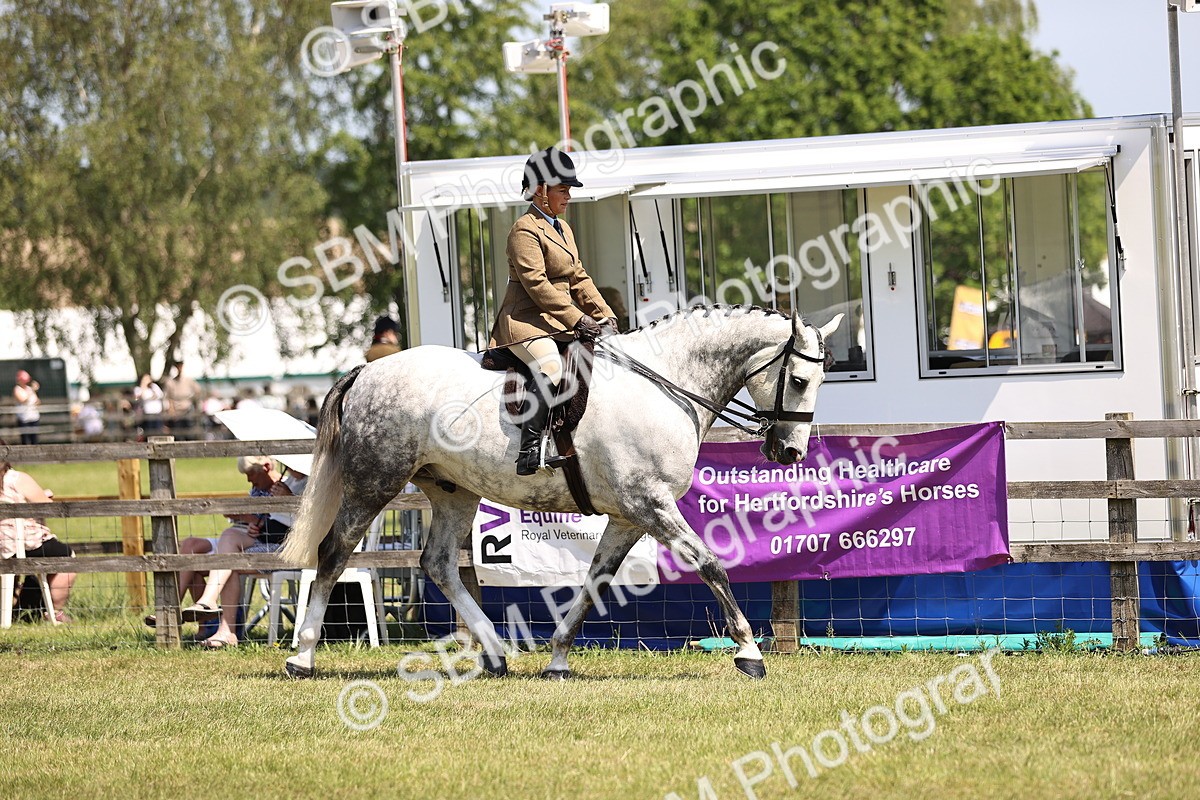 SBM_15024 - Class 79-80 - LIHS BSHA Rising Star Ridden Hunter