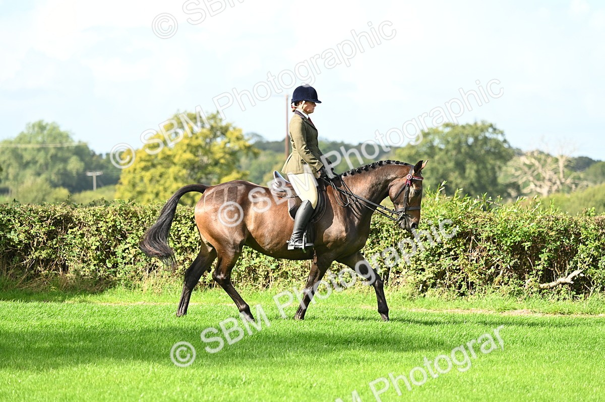 SBM_01739 - S2 - TSR Ridden Horse Showing