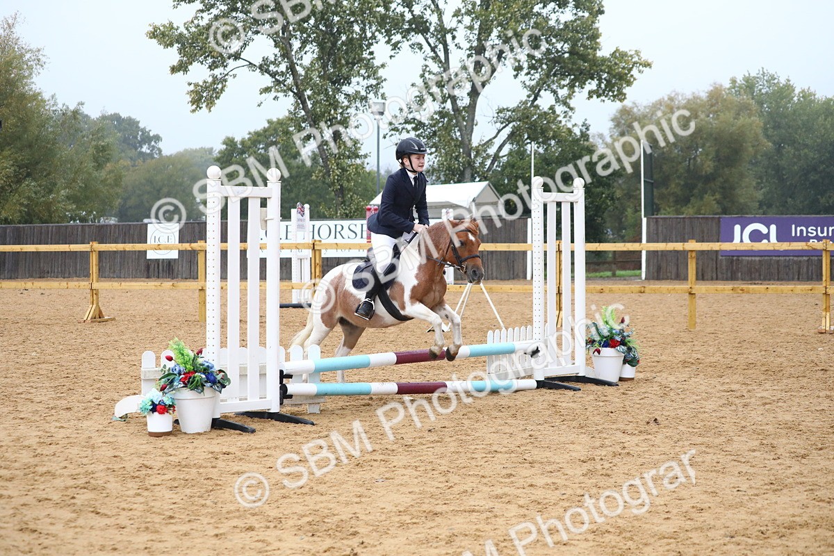 SBM_71767 - J4 - Mini Tour Junior Pony 45cm Championship