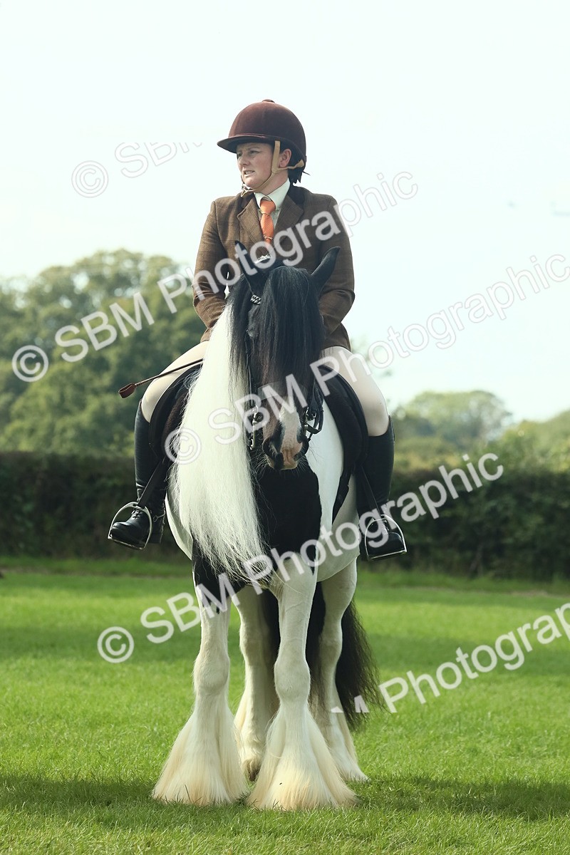 SBM_67567 - S56 - Coloured Pony Ridden
