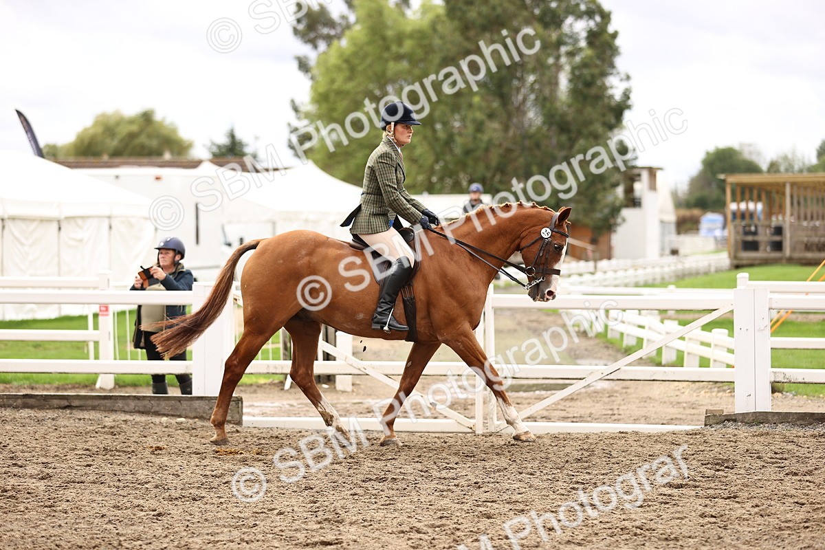 SBM_00545 - Class 53 - Ridden Competition Horse Pony