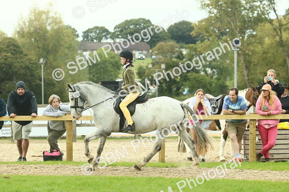 SBM_74054 - S 61 - Show Pony & Show Hunter Pony Ridden