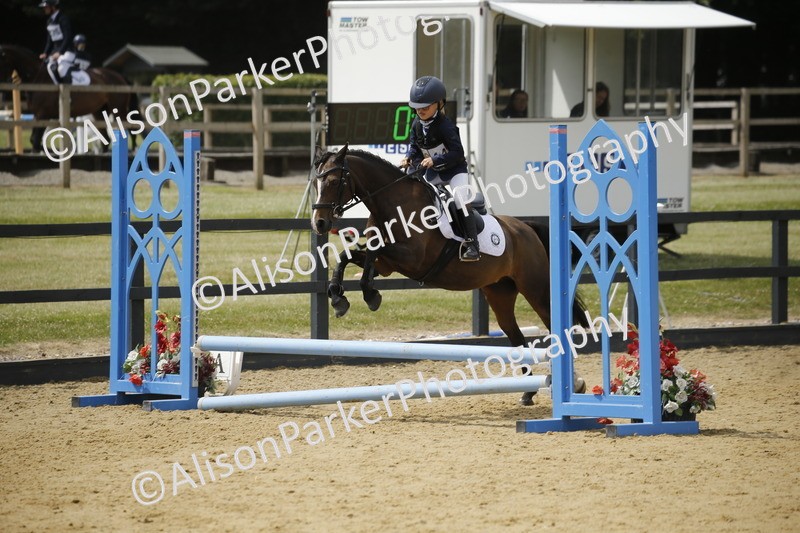 20250622-4111 - 50cm