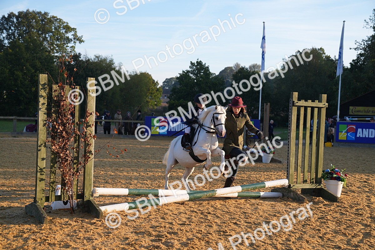 SBM_58847 - J63 - Minis Clear Round 30cm 40cm