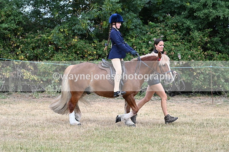 WJ7_0261 - Class 2 Best rider
