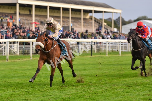 131023-Race 5-Irish Nectar-9679 - Race 5 4.25pm Parsonage Hotel And Cloisters Spa Nursery Handicap