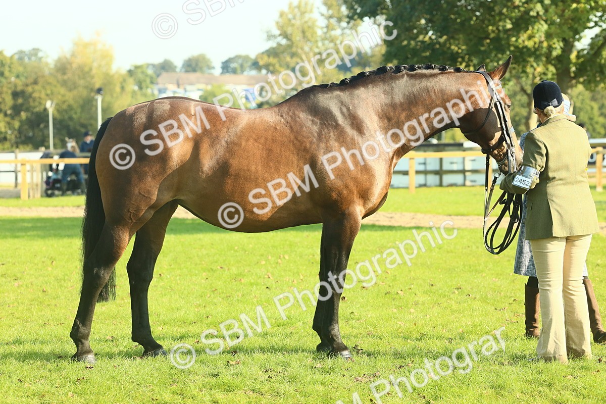 SBM_58626 - S37 - Starters In Hand Showing
