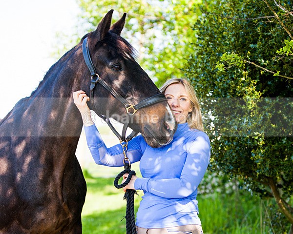 308110x8 - Equine Gallery Portfolio
