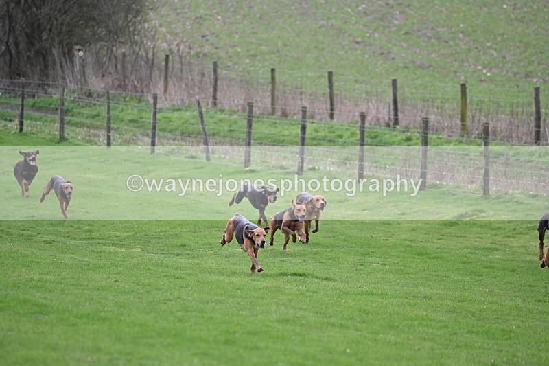 WJ6_8967 - Line Three