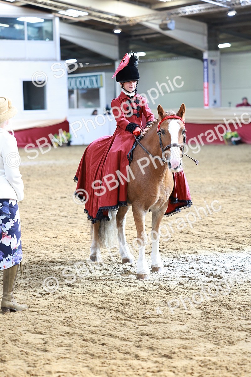 SBM_13454 - Class 104 - Ridden Costume - Astride Junior