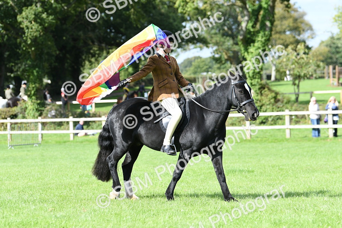 SBM_47059 - S12 - Family Horse & Pony