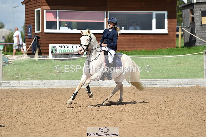 230902A-140226-01576 - Cls 3B Pony Medium 90cm