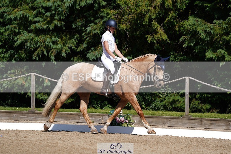 240719-154424-02744 - 103-Elissa_Franks-Golden_queen