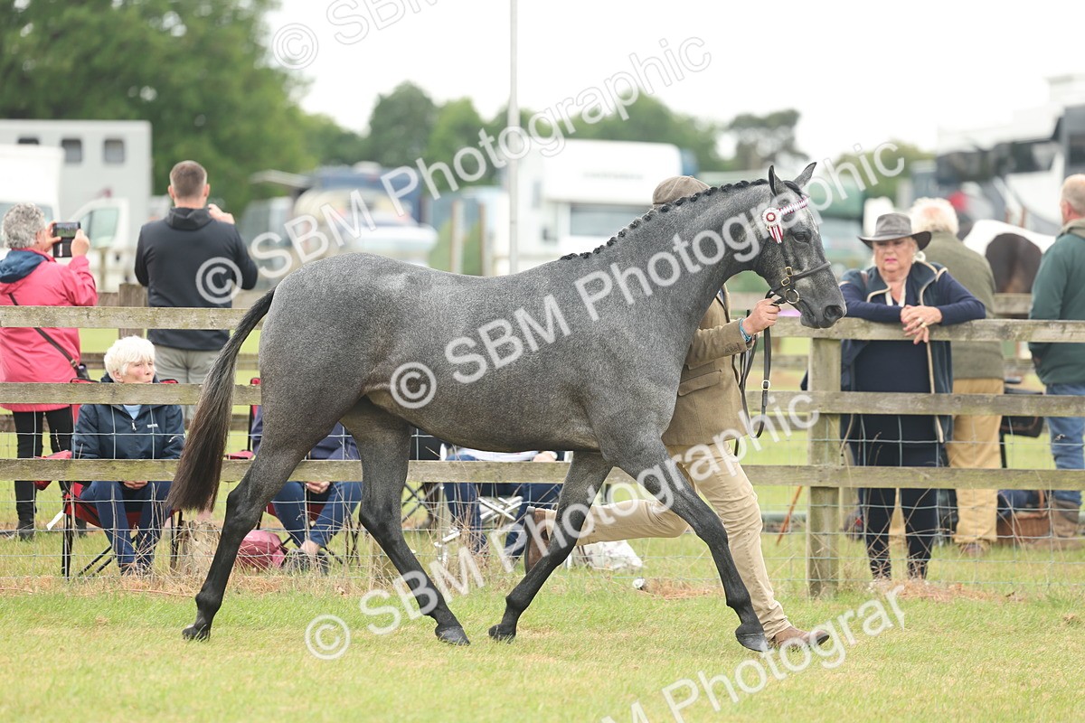 SBM_05460 - Class 68-73 - Riding Pony Breeding