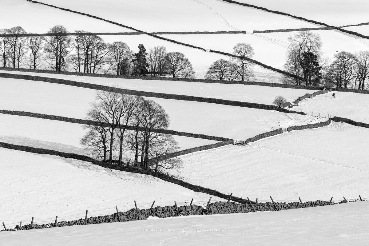 White Peak patchwork - WINTER