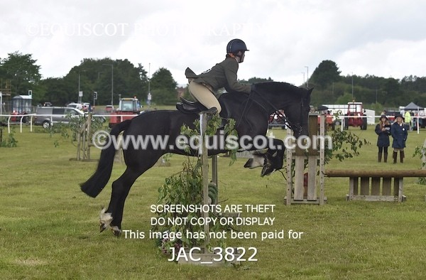 JAC_3822 - 65cm WORKING HUNTER