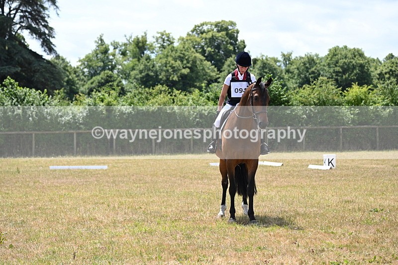 WJ6_4919 - Time 12:16 to 13:05