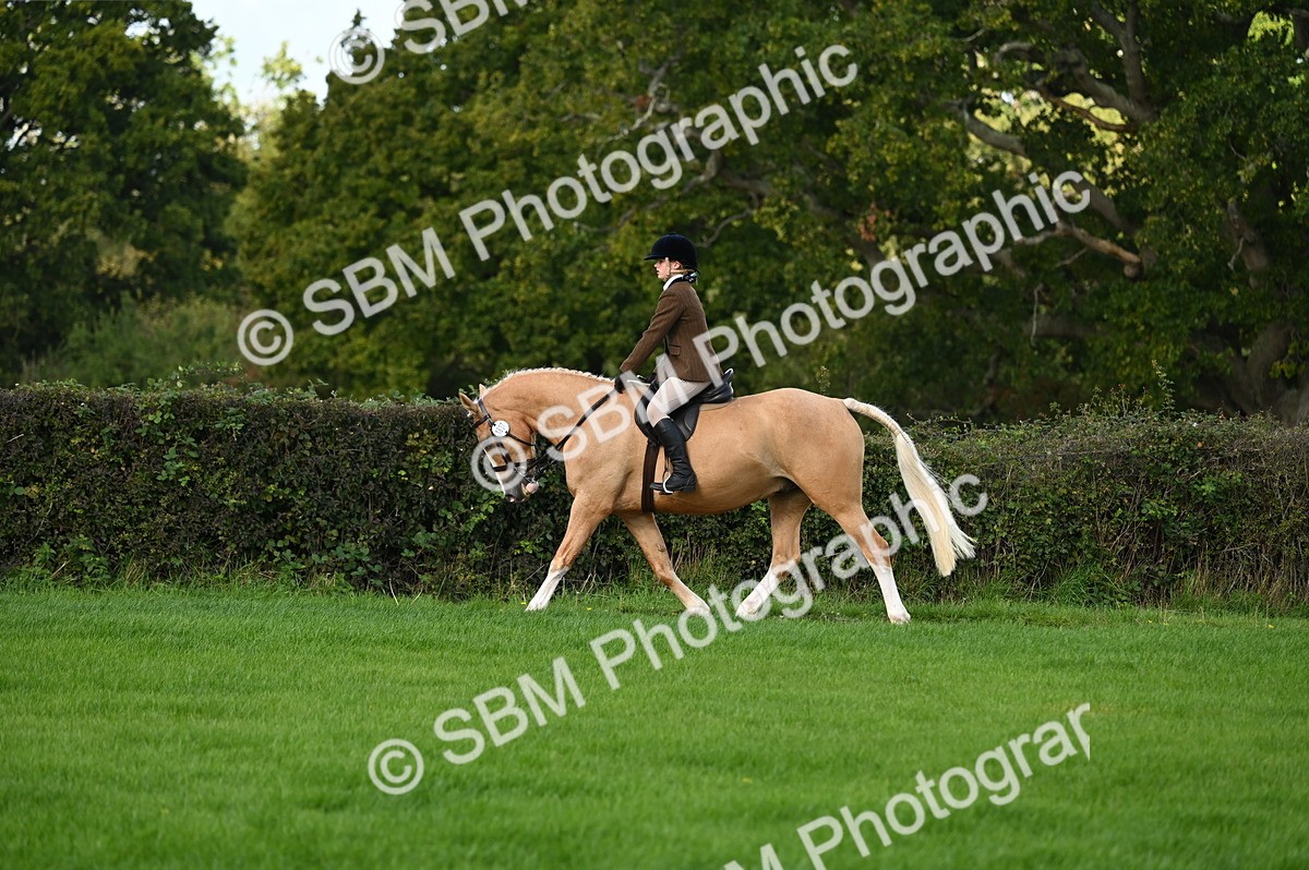 SBM_01570 - S2 - TSR Ridden Horse Showing