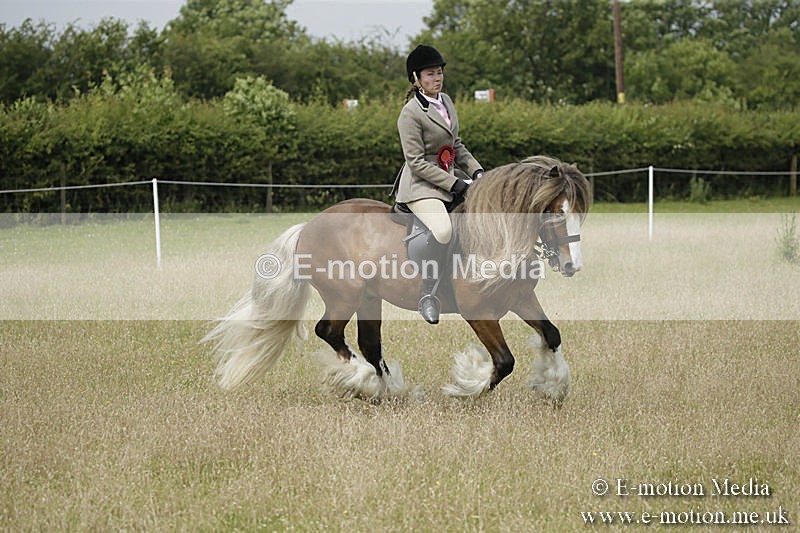 B230619-0460 - Bourne Valley Riding Club Summer Show 23/06/19