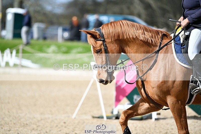 240324-133913-02854 - Cls 10 Newcomers & 1.10m Open