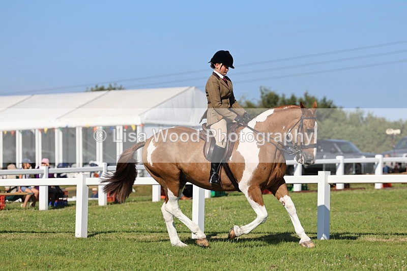IMG_1439 - Class 29:  Ridden Native/Trad Coloured Horse