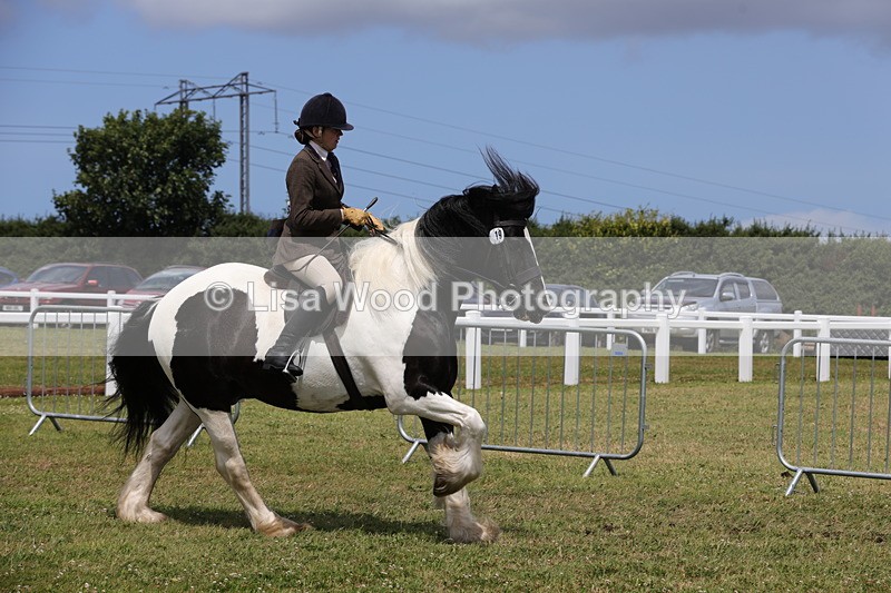 1X9A4372 - Class 34: Veteran Ridden