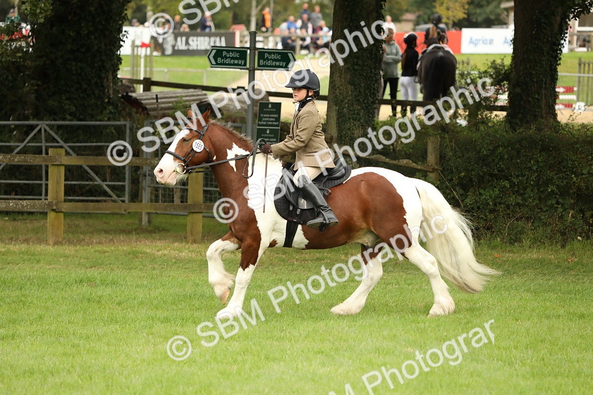 SBM_71709 - S41 - Ridden Equitation (Best Rider)