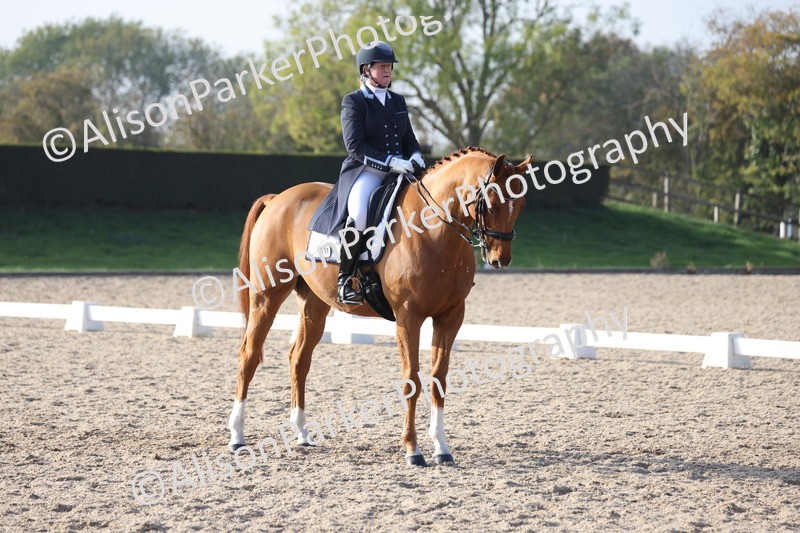 20251012-1132 - Class 12 - PSG