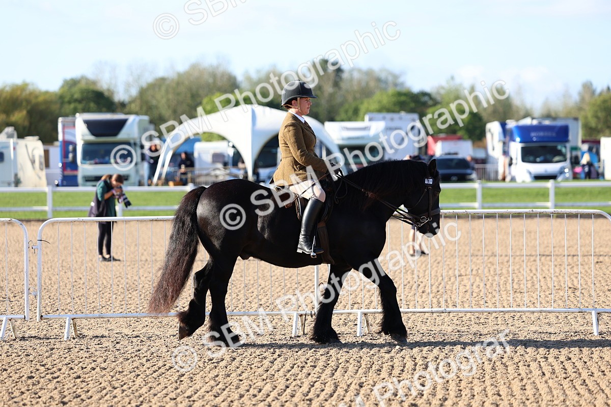 SBM_08700 - Class 302 - Ridden M&M - Large Breeds