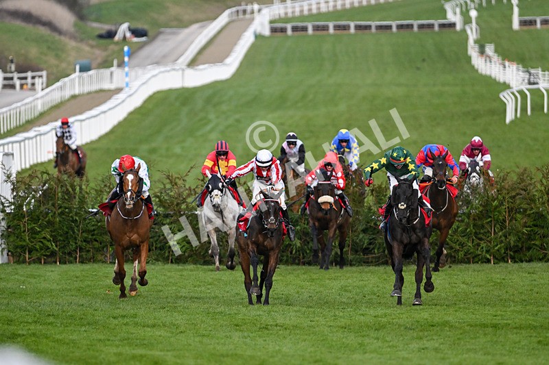 120325-Race 4-Stumptown-6990 - 12th March