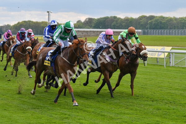 yr12052021r2-35 - Race 2 2.10pm Churchill Tyres Stakes
