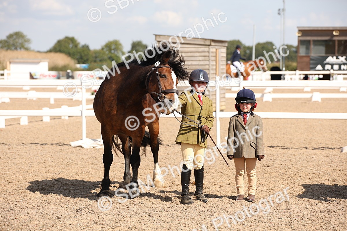 SBM_03021 - Class 17 Prettiest Mare IH or Ridden