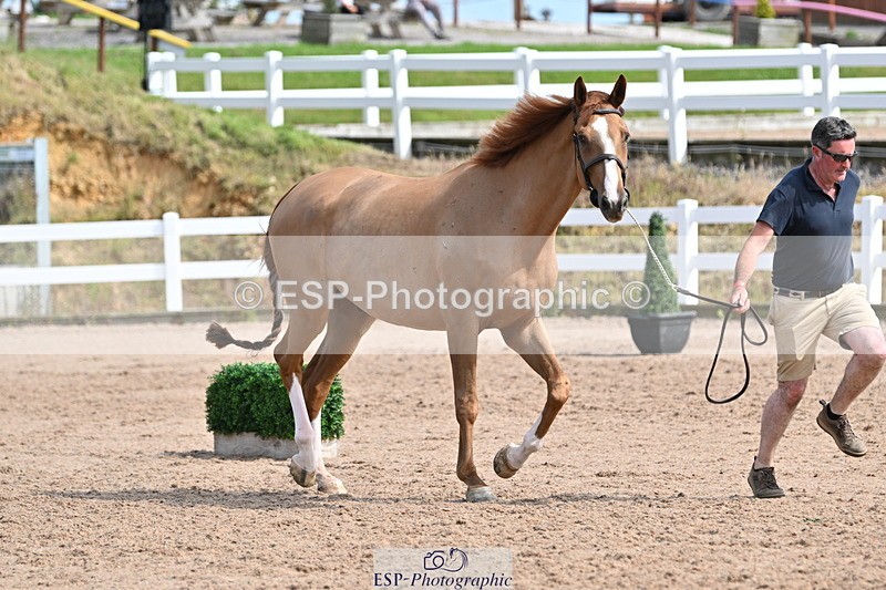 240717A-161238-03348 - Trot Up 4pm to 5pm