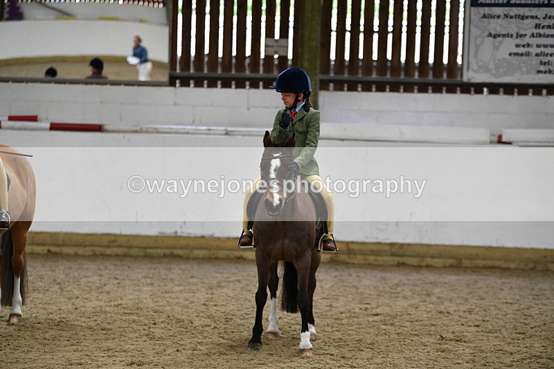 WJ5_7040 - Class 10 Childs Pony