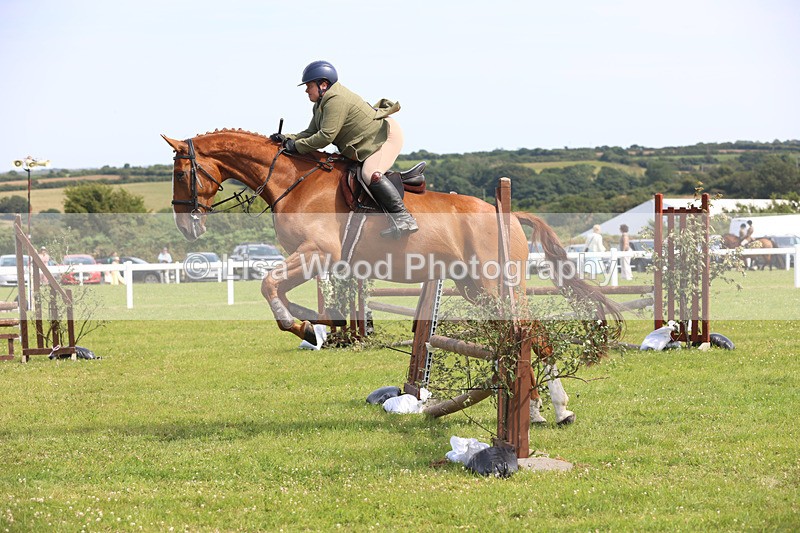 JPP_3744 - Class 23: Working Hunter 80cm