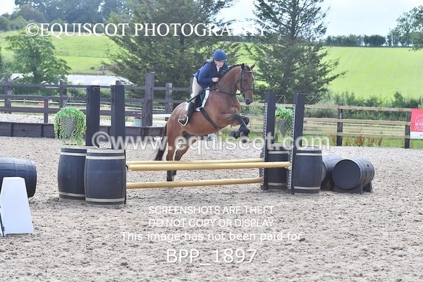 BPP_1897 - DERBY CLASS 5 - 60CM