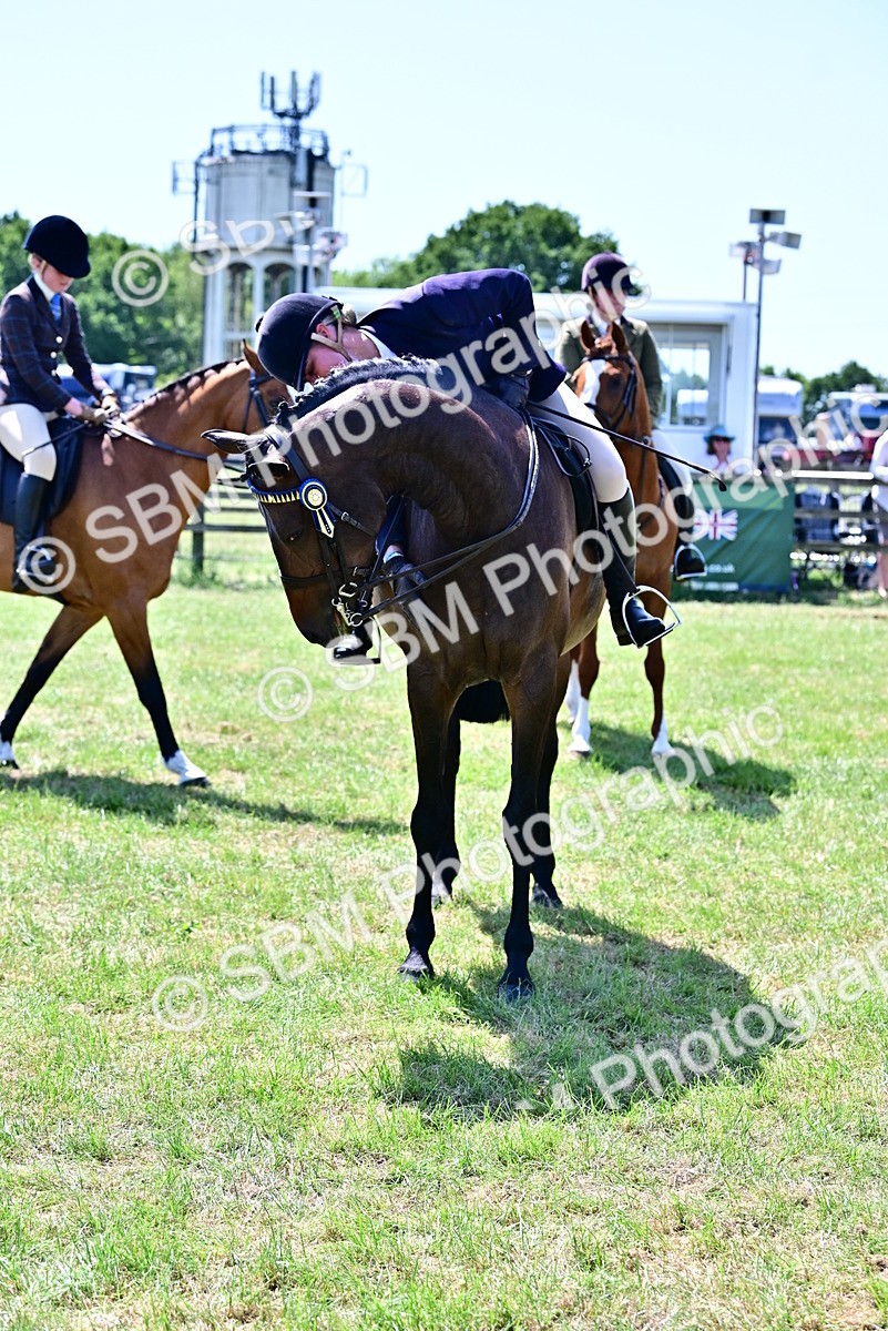 SBM_17515 - Class 95-97 - BSPS LHS Performance Ponies