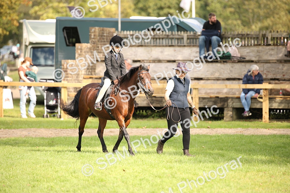 SBM_50027 - S26 - Young Veteran - Ridden