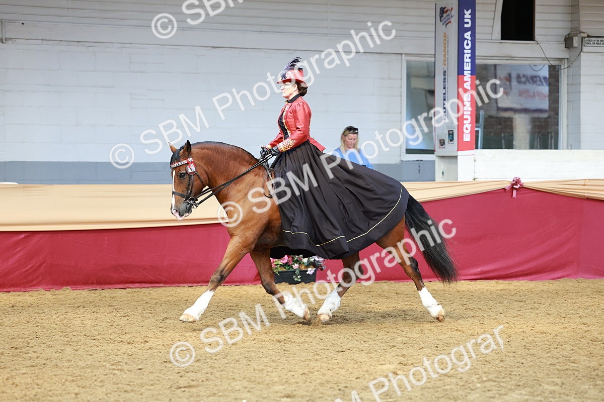 SBM_14806 - Class 107 - Ridden Costume - Astride Adult  (20+)