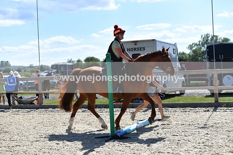 WJ5_5335 - Poles on the Floor