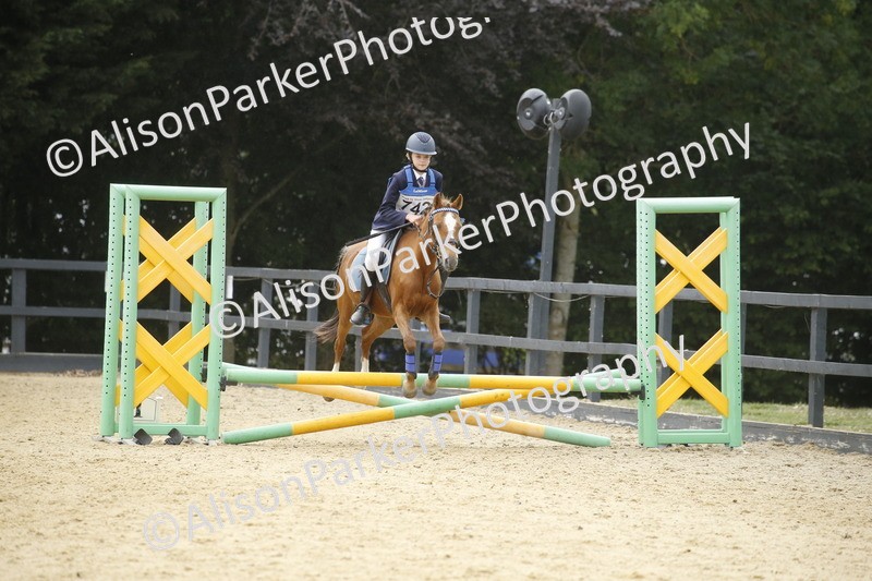 20250622-6411 - 60cm