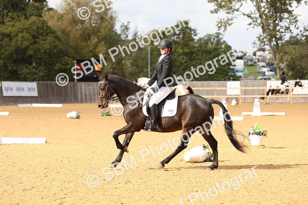 SBM_24661 - D17 - Grand Tour Championship Novice 3