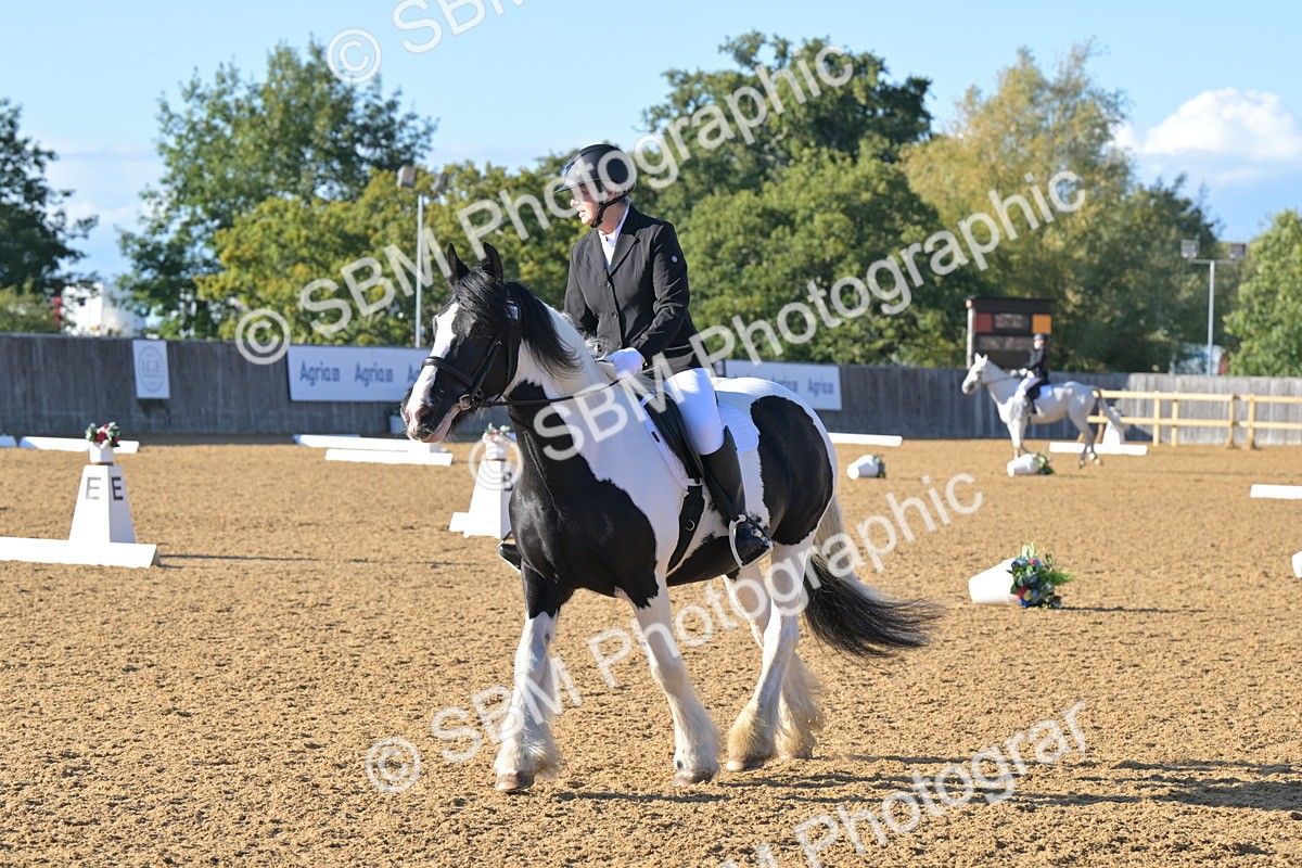 SBM_13018 - D3 - Small Tour Championship Intro 3