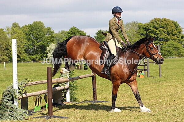 IMG_4714 - Working Hunter