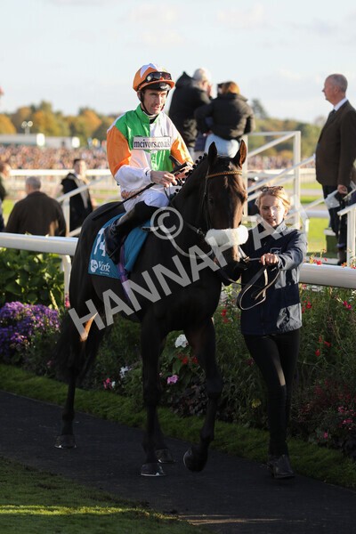 yr08102022r7-18 - Race 7 5.00pm The Coral Gets You Closer To The Action Stakes