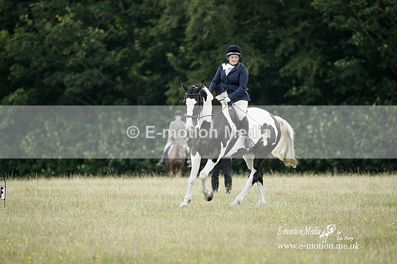 BVRC 030721 304 - Bourne Valley Riding Club Dressage 03/07/21