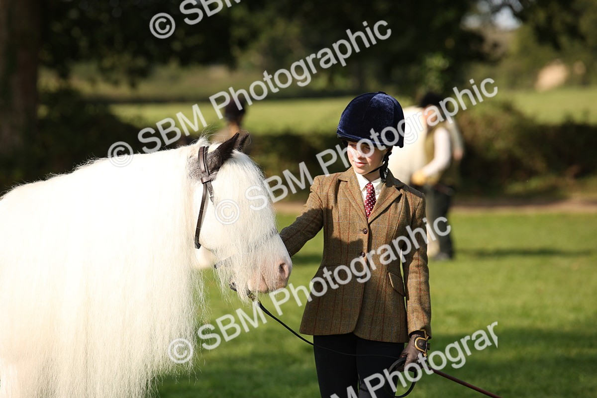 SBM_62236 - S55 - Traditional Cob In Hand